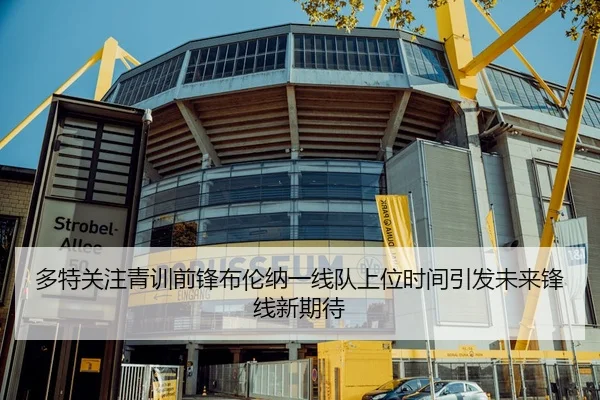 多特关注青训前锋布伦纳一线队上位时间引发未来锋线新期待